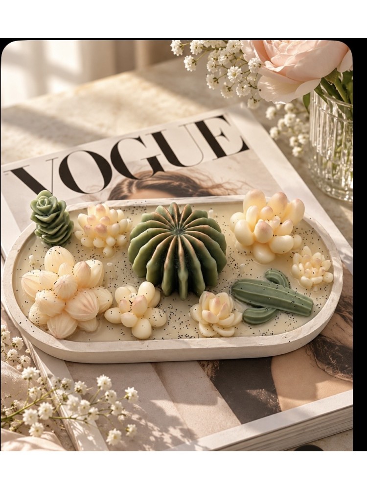 Tavita decorativa cu cactus 